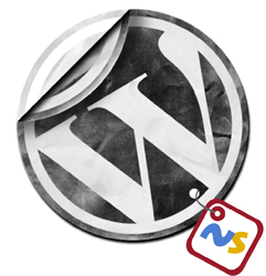 netytec simple + wordpress